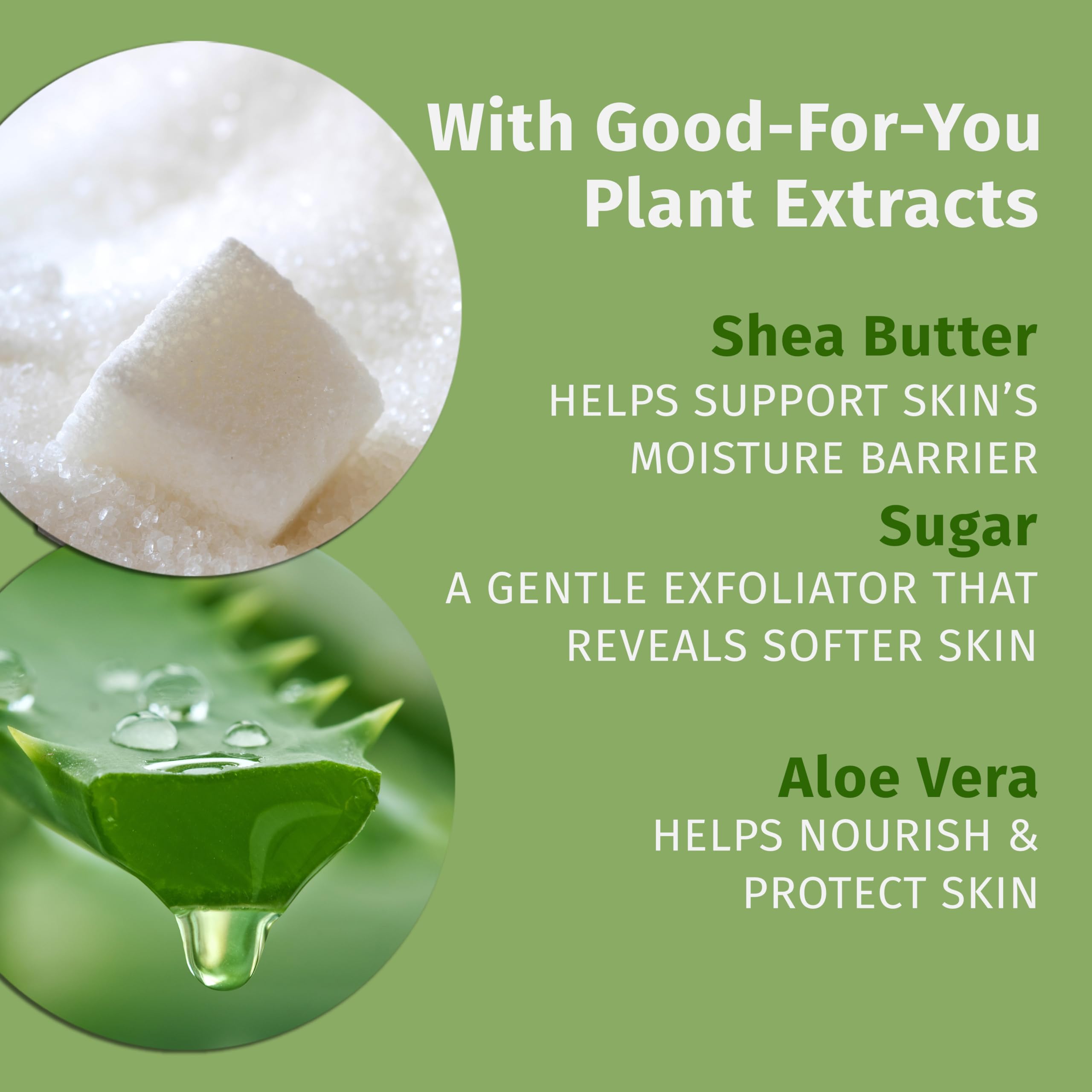 Hempz Age Defying Body Moisturizer, 17 Fl Oz, 2 Pack Bundle - Daily Herbal Moisturizer, Shea Butter Anti-Aging - Body Lotion, Hemp Extract Lotion - Skin Care Products, 100% Pure Organic Hemp Seed Oil